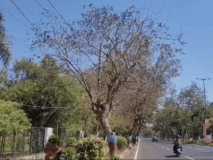 हिमाचलमध्ये उंच पर्वतांवर बर्फवृष्टी, 3 दिवसांचा अलर्ट: मध्य प्रदेशात तापमान 12 अंशांपेक्षा कमी, राजस्थानमध्ये पाऊस आणि गारपिटीची शक्यता हिमाचलमध्ये उंच पर्वतांवर बर्फवृष्टी, 3 दिवसांचा अलर्ट: मध्य प्रदेशात तापमान 12 अंशांपेक्षा कमी, राजस्थानमध्ये पाऊस आणि गारपिटीची शक्यता