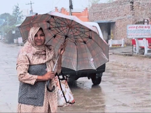 ਸੋਨੀਪਤ ਦੇ ਪੇਂਡੂ ਖੇਤਰਾਂ ਵਿੱਚ ਵੀ ਮੀਂਹ ਪੈ ਰਿਹਾ ਹੈ. ਇਸ ਸਮੇਂ ਦੌਰਾਨ ਇਕ woman ਰਤ ਛਤਰੀ ਨਾਲ ਬਾਹਰ ਆਈ.