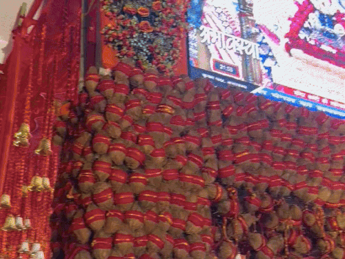 वैष्णो देवी की तर्ज पर दीवार पर बंधे नारियल।