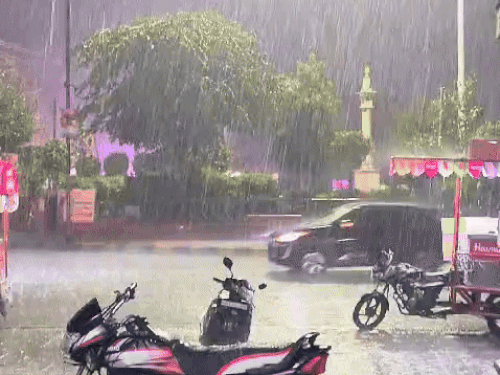 कल से गिरेगा पारा, जयपुर और बीकानेर संभाग में बढ़ेगी सर्दी|जयपुर,Jaipur - Dainik Bhaskar
