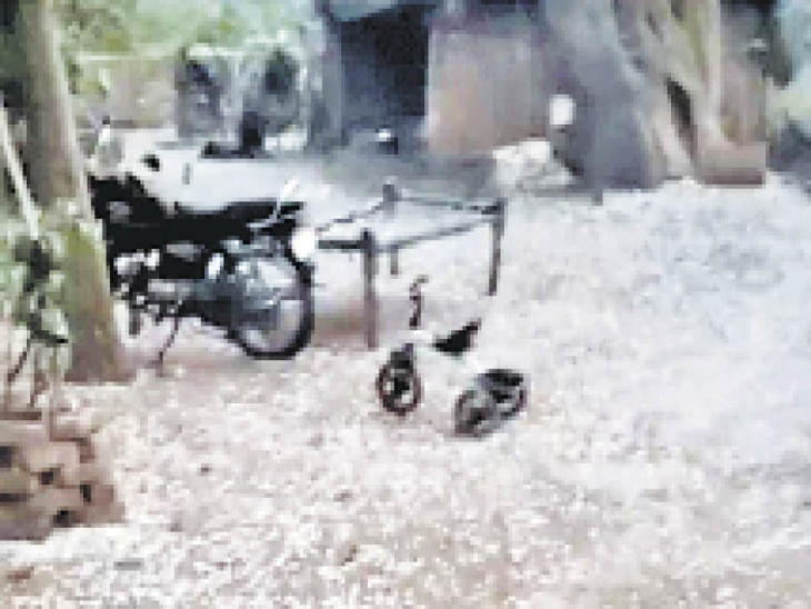 अब दो दिन धूप, 4 मार्च से फिर मौसम बदलेगा, बारिश का अलर्ट..गिरेगा पारा|जयपुर,Jaipur - Dainik Bhaskar
