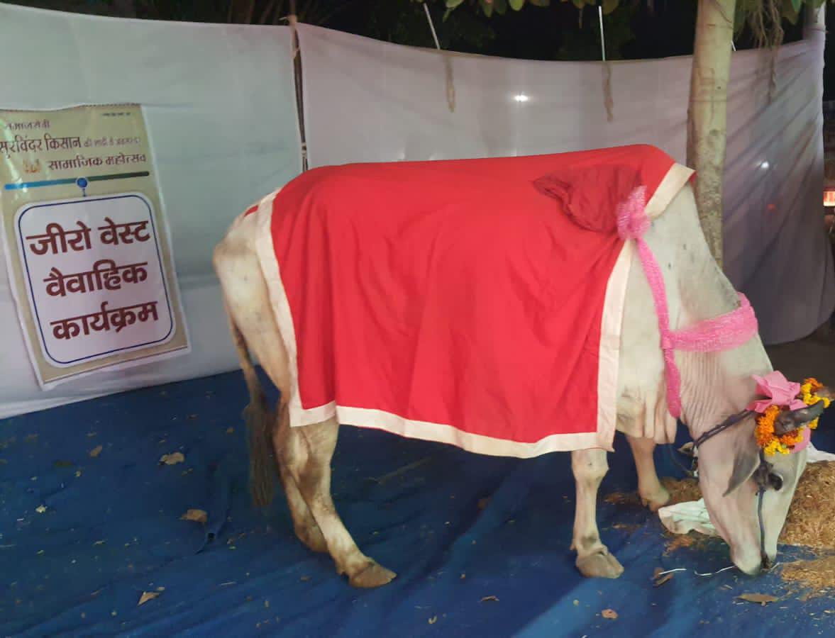 Ghaziabad News : 'दहेज के रूप में 11 हजार पौधे, बैलगाड़ी से दुल्हन की विदाई' चर्चा में बनी सुरविंदर किसान की शादी 4 बैलगाड़ी से दुल्हन की विदाई।