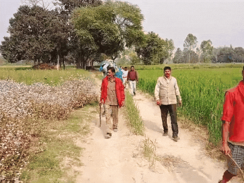 घराबाहेर पडल्यावर लचके तोडतात कुत्रे: यूपीतील बहराइच जिल्ह्यात शांतता, मुलांनी सोडली शाळा; काठ्या घेऊन घराबाहेर पडतात लोक गावकरी काठ्या आणि रॉड घेऊन पहारा देत आहेत.