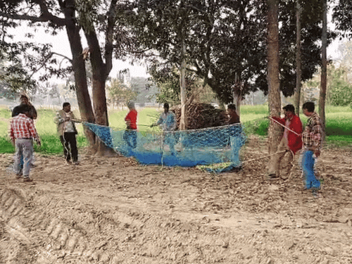 घराबाहेर पडल्यावर लचके तोडतात कुत्रे: यूपीतील बहराइच जिल्ह्यात शांतता, मुलांनी सोडली शाळा; काठ्या घेऊन घराबाहेर पडतात लोक कुत्र्यांच्या दहशतीमुळे प्रशासनाने गावांमध्ये सापळेही बसवले.