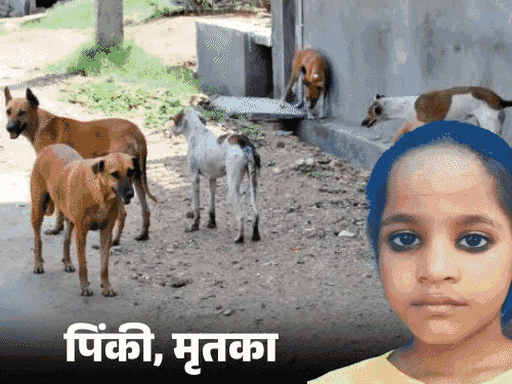 घराबाहेर पडल्यावर लचके तोडतात कुत्रे: यूपीतील बहराइच जिल्ह्यात शांतता, मुलांनी सोडली शाळा; काठ्या घेऊन घराबाहेर पडतात लोक घराबाहेर पडल्यावर लचके तोडतात कुत्रे: यूपीतील बहराइच जिल्ह्यात शांतता, मुलांनी सोडली शाळा; काठ्या घेऊन घराबाहेर पडतात लोक