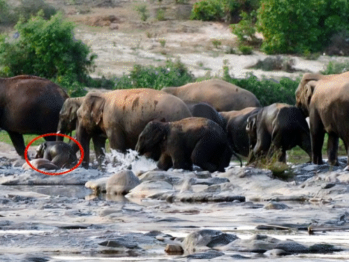 Vasaut से से से से उत उत उत उत उत rayraur नदी rayraur rayrिडीह rurिडीह िडीह में में में