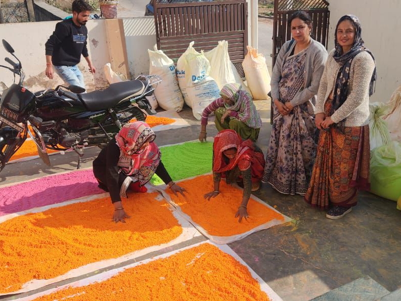 Women of Bansur are making natural gulal | बानसूर की महिलाएं बना रही ...