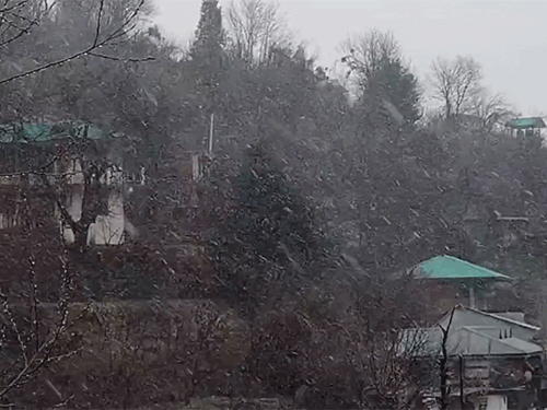 हिमाचल प्रदेश: किन्नौर जिले में बर्फबारी हुई।