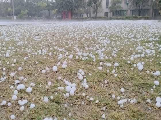 हाटपीपल्या में भारी ओलावृष्टि से सभी फसल बर्बाद