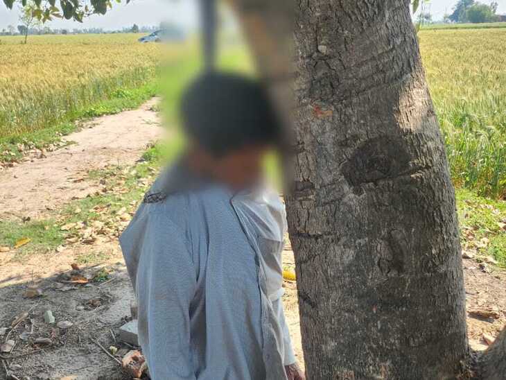 ਛੁੱਟੀਆਂ ਤੋਂ ਬਾਅਦ, ਦਰੱਖਤ ਨਾਲ ਰੁੱਖ 'ਤੇ ਫਾਸੀ.