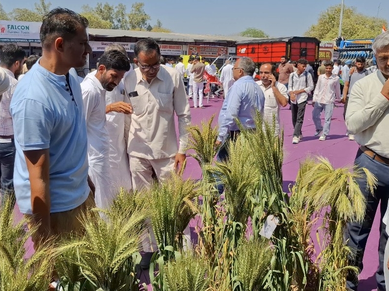 मेले में गेहूं की फसल को देखते किसान।