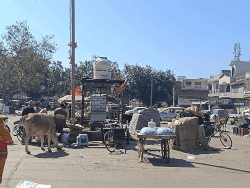 मंडी में पीने के पानी और लाइट की व्यवस्था।