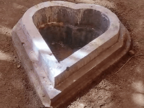 ਪੱਤਾ ਧਾਰਣ ਵਾਲਾ ਯੋਨੀ ਟੈਂਕ.