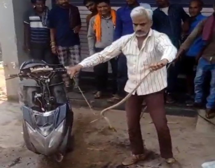 सर्प मित्र ने पकड़ा स्कूटी में छिपा जहरीला सांप