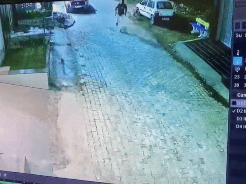 ਵੱਪੀ ਦੇ ਪਿੱਛੇ ਇੱਕ ਸੋਟੀ ਨਾਲ ਭੱਜਣਾ ਭੱਜਣਾ.