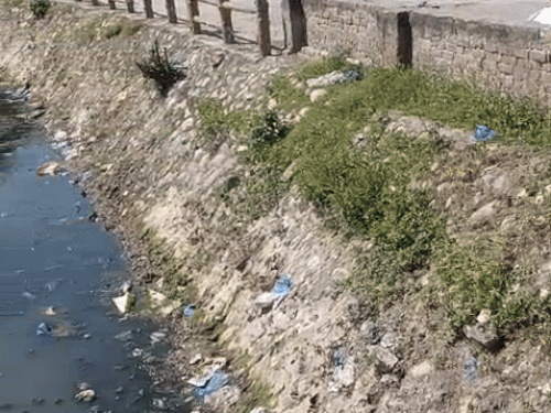 स्वर्ग धाम के निकट सरस्वती नदी में पड़ी गंदगी। - Dainik Bhaskar