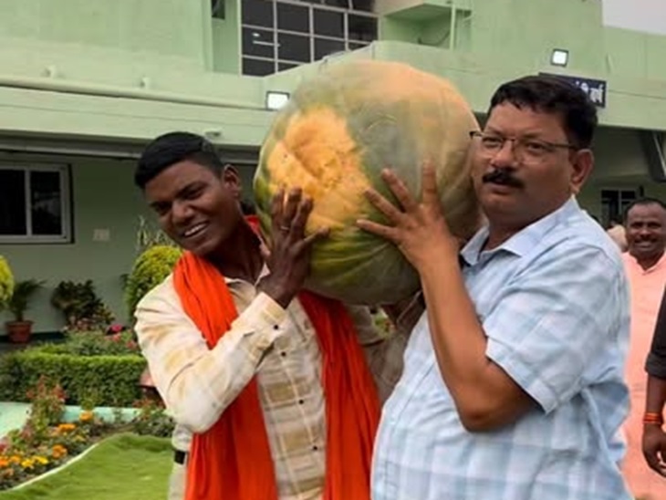 विधानसभा में आए इस कद्दू को देखने भीड़ लगी रही।