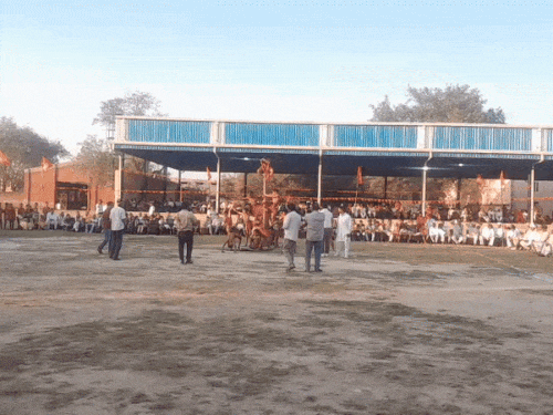 गुरूकुल में अपनी कला का प्रदर्शन करते छात्र।