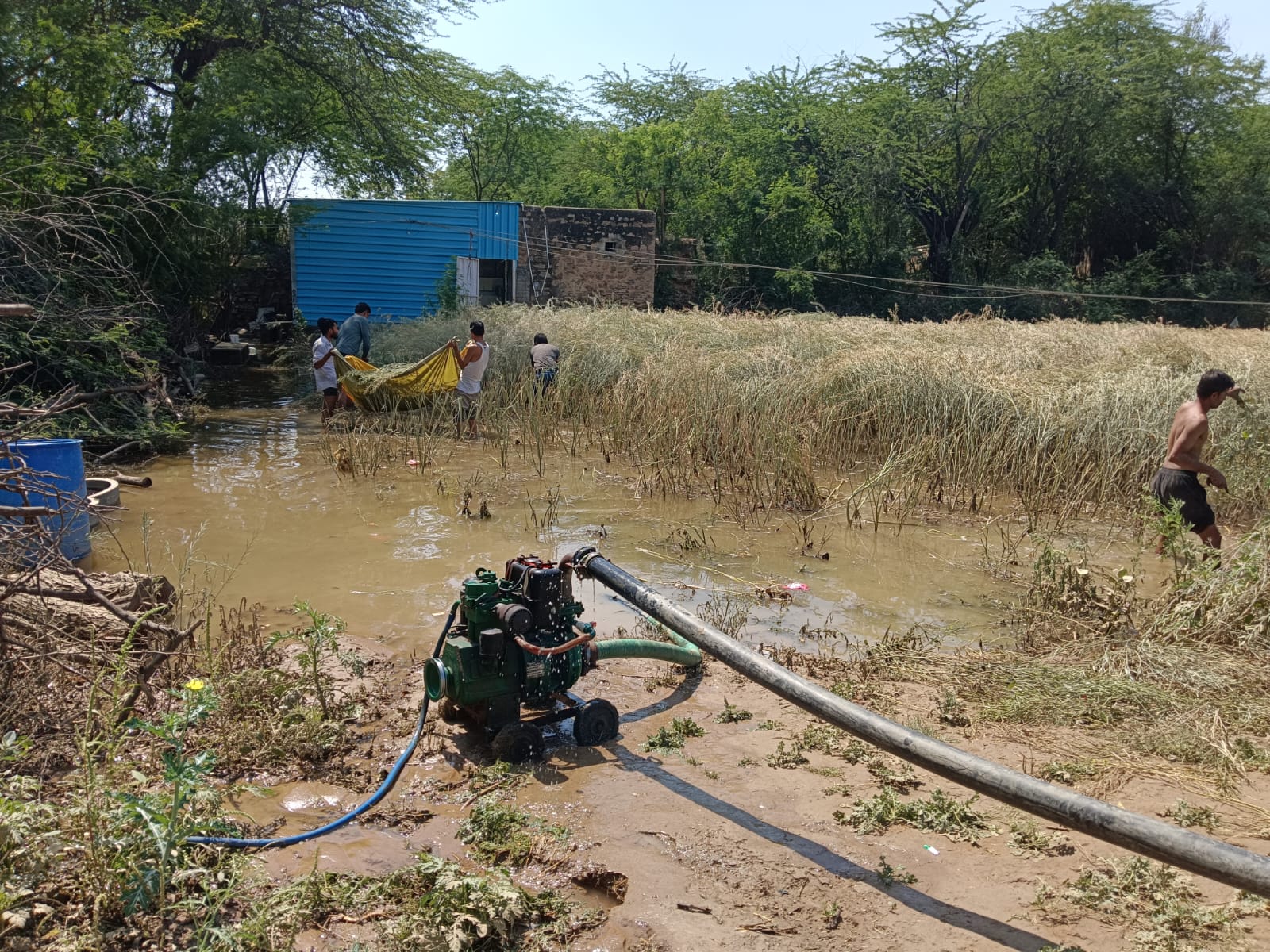ਪੰਪ ਨੂੰ ਪਾ ਕੇ ਖੇਤ ਤੋਂ ਪਾਣੀ ਕੱ draining ਣ ਵਾਲੇ ਕਿਸਾਨ