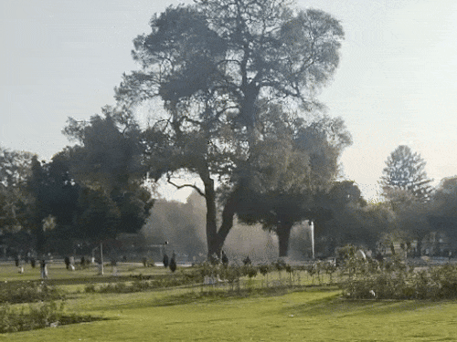 पंजाब चंडीगढ़ में मौसम 28 मार्च तक मौसम शुष्क रहेगा, तामान में बढ़ोतरी होगी। - Dainik Bhaskar