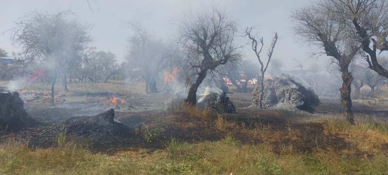 ਕੌੜੀ ਅੱਗ.