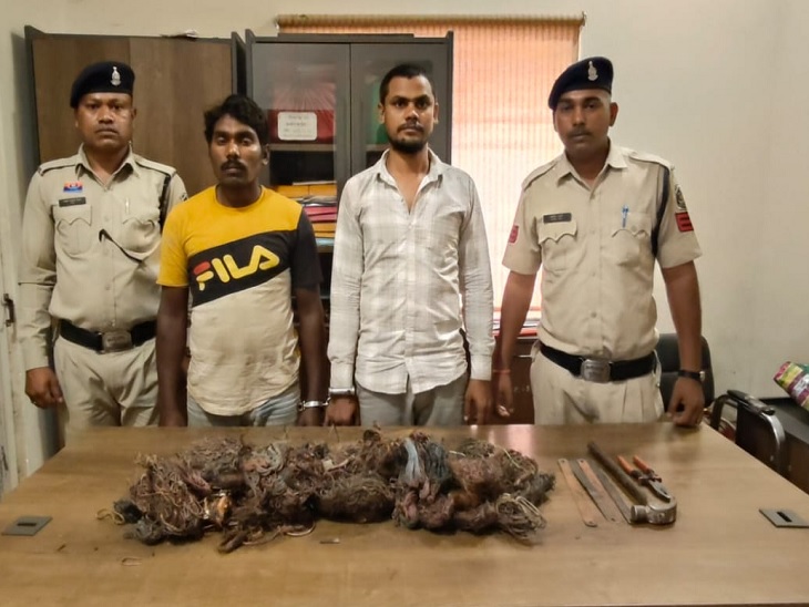 खेत से केबल वायर चोरी करने वाला गिरफ्तार - Dainik Bhaskar