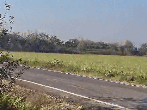 पंजाब में आने वाले सात दिन धूप खिलेगी औरब बारिश के आसार नहीं हैं। - Dainik Bhaskar