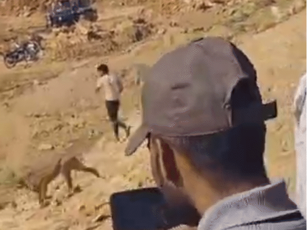 ਚੀਤਾ ਨੂੰ ਮਾਰਨ ਲਈ ਨਿੰਦਿਆਂ ਨਾਲ ਭੱਜ ਰਹੇ ਸਨ.