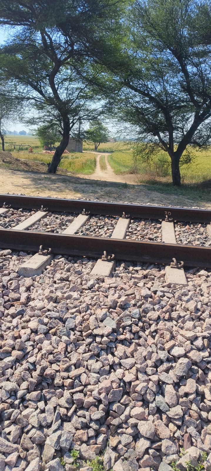 ਸਿਰਸਾ ਜ਼ਿਲੇ ਦੇ ਮੋਰਸਾ ਜ਼ਿਲ੍ਹੇ ਦੀ ਮੋਰਿਵਾਲਾ ਪਿੰਡ ਦੁਆਰਾ ਲੰਘ ਰਹੀ ਰੇਲਵੇ ਲਾਈਨ ਜਿਸ ਦੇ ਸਾਹਮਣੇ ਕੱਚੇ ਰਸਤੇ ਨੇ ਸਾਈਡ ਤੇ ਬਣਾਇਆ ਖੇਤਾਂ ਨੂੰ ਲਿਆ.