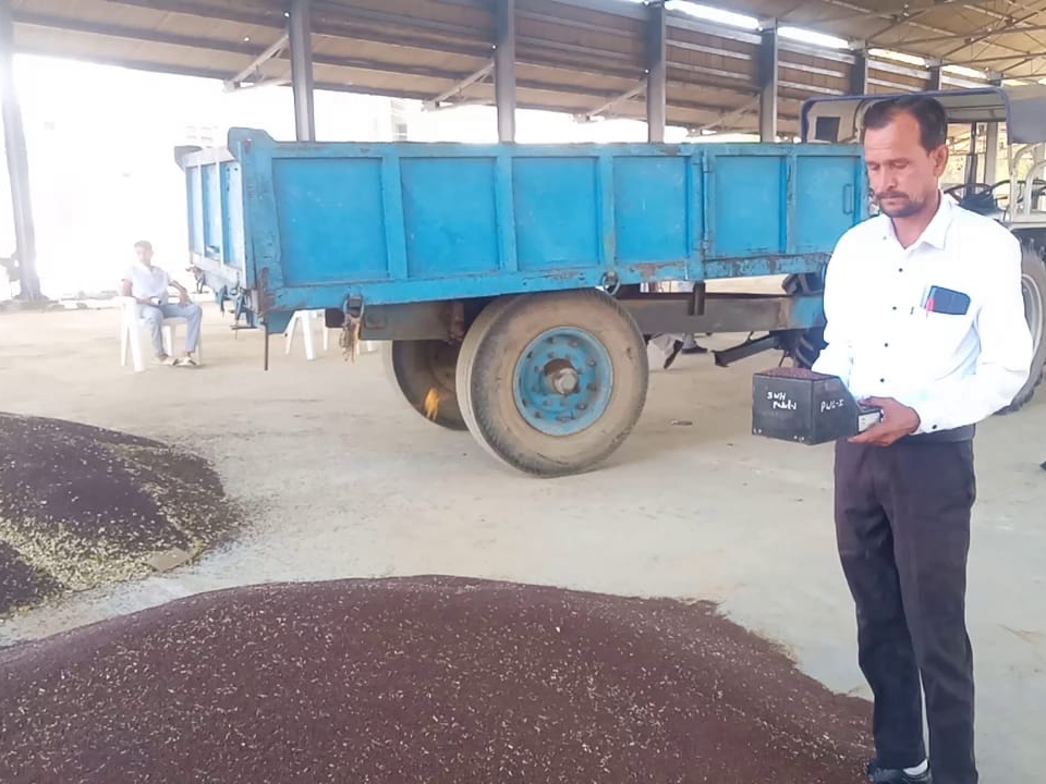 ਮਜ਼ਦੂਰ ਫਸਲ ਦੀ ਜਾਂਚ ਕਰ ਰਹੇ ਸਨ.