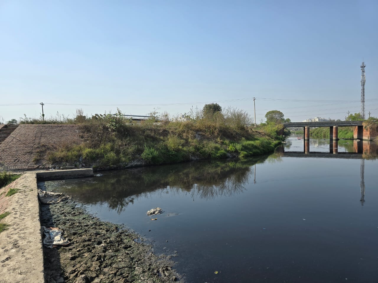 ड्रेन -6 ओपी जिंदल यूनिवर्सिटी के सामने से होते हुए अकबरपुर बरोटा के सामने की तस्वीर