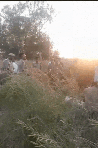 गोसाईंगंज के सलौली गांव में सरसों के खेत में मिला महिला का शव।