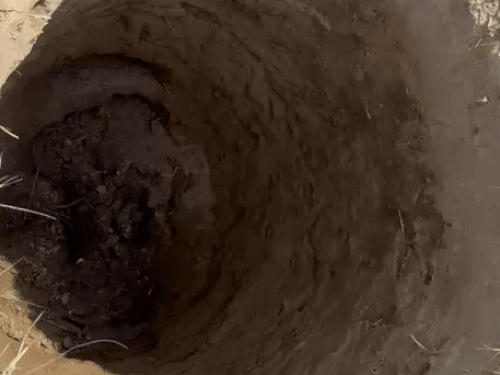 ਕਾਟਲਗੇਵਾਸ ਕਲਾਂ ਵਿਚ ਕਸਾਦਲ ਜਹਿਰ ਨੇ ਬਰਾਮਦ ਕੀਤਾ ਸੀ ਜਿੱਥੋਂ ਸਰੀਰ ਬਰਾਮਦ ਹੋਇਆ ਸੀ.