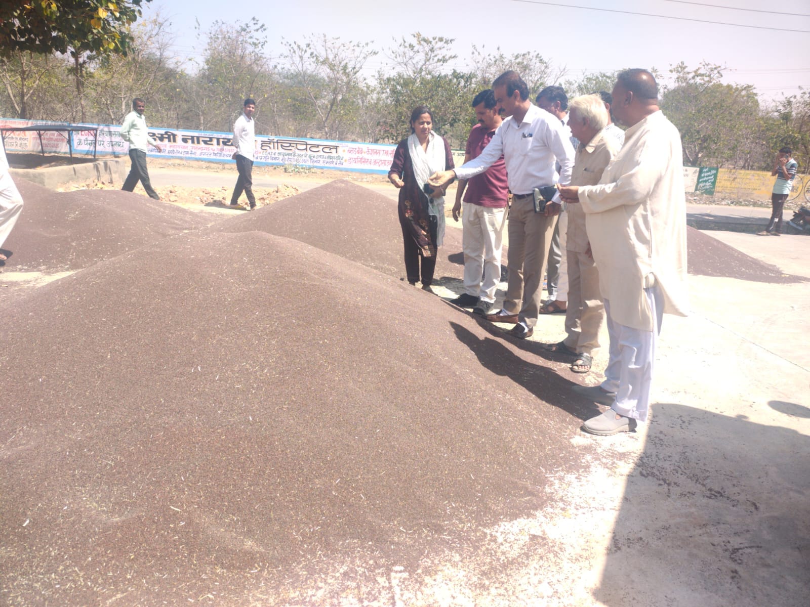 सतनाली अनाज मंडी में एसडीएम अनिल कुमार सरसों का निरीक्षण करते हुए