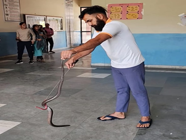 ਸਰਕਾਰੀ ਗਰਲਜ਼ ਕਾਲਜ ਵਿੱਚ ਸੱਪ ਆਦਮੀ ਦੀਵੇ ਦੇ ਸੱਪ ਰੱਖ ਰਹੇ ਸਨ.