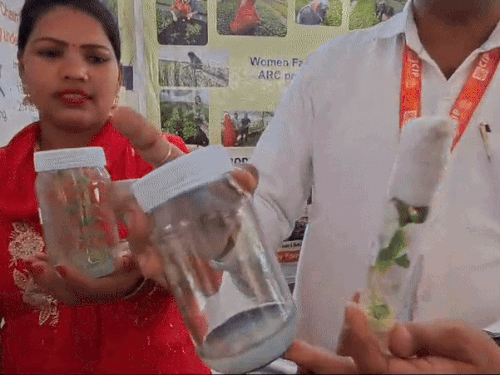 विधि को समझाते विशेषज्ञ।