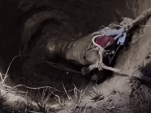 ਪੁਲਿਸ ਨੇ ਦਾਦਰੀ ਵਿਚ ਪਿੰਡ ਪੈਂਟਵਸ ਕਲਾਂ ਵਿਚ ਇਕ ਖੂਹ ਤੋਂ ਲਾਸ਼ ਨੂੰ ਦੂਰ ਕਰ ਦਿੱਤਾ.