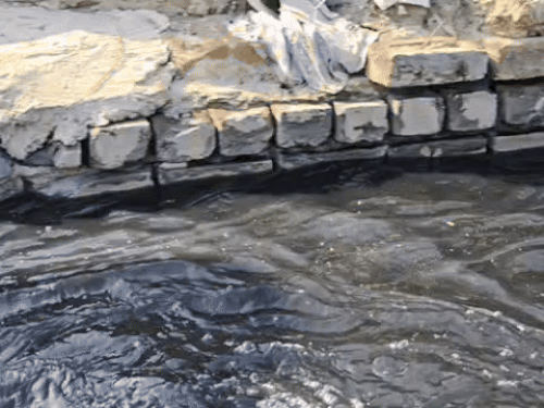 ड्रेन -6 अकबरपुर बारोटा श्मशान घाट के सामने की तस्वीर