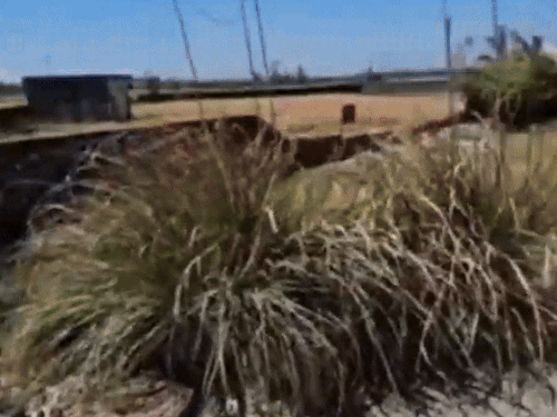 ਜਾਣਕਾਰੀ ਤੋਂ ਬਾਅਦ ਪੁਲਿਸ ਮੌਕੇ ਤੇ ਪਹੁੰਚ ਗਈ.