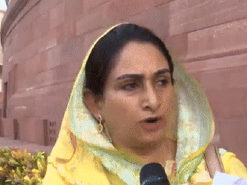 अकाली दल की सांसद हरसिमरत कौर बादल। - Dainik Bhaskar