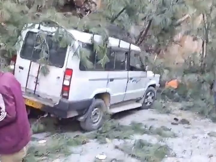 मणिकर्ण में गाड़ी पर गिरा पेड़।