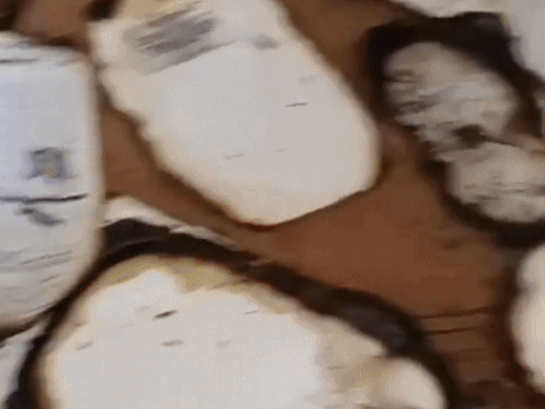 आग लगने के कारण अलमारी के अंदर रखे दस्तावेज जले