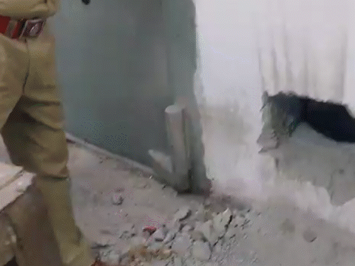 ਸਤੰਬਰ 2023 ਵਿਚ, ਅੰਬਾਲਾ ਵਿਚ ਸਹਿਕਾਰੀ ਬੈਂਕ ਵਿਚ 32 ਲਾਕਰ ol ਾਹ ਦਿੱਤੇ ਗਏ ਸਨ.