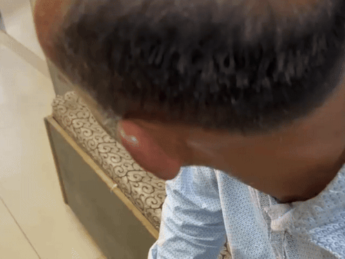 ਮਧੂ ਮੱਖੀਆਂ ਨੇ ਉਸ ਵਿਅਕਤੀ ਨੂੰ ਮਾਰਿਆ ਜੋ ਹਵਾਨ ਵਿੱਚ ਧੁਨੀ ਪ੍ਰਣਾਲੀ ਨੂੰ ਸਥਾਪਤ ਕਰਨ ਆਇਆ.