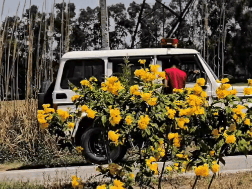 ਪਿੰਡ ਰੋਹਤ ਦੇ ਨੇੜੇ ਟ੍ਰੈਫਿਕ ਪੁਲਿਸ ਦੇ ਵਾਹਨ ਨੂੰ 400 ਰੁਪਏ ਦੀ ਰਿਸ਼ਵਤ ਦੇਣੀ ਪਈ