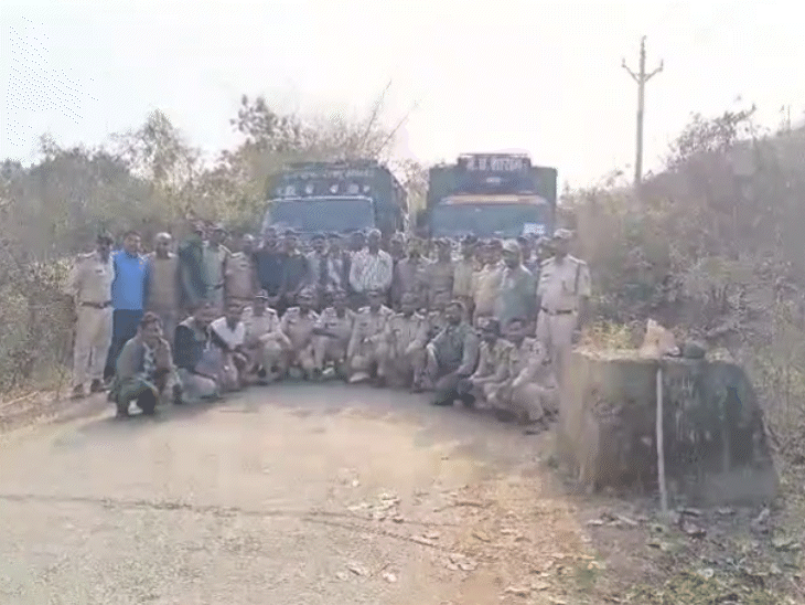 वन विहार भोपाल और सतपुड़ा टाइगर रिजर्व की टीम ने मिलकर दोनों बाघों का रेस्क्यू किया।