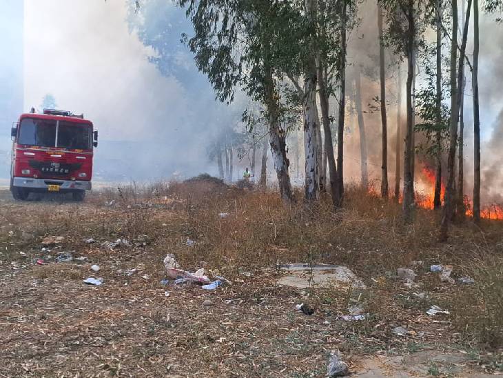 ਫਾਇਰ ਬ੍ਰਿਗੇਡ ਜੰਗਲ ਵਿਚ ਅੱਗ ਨੂੰ ਕਾਬੂ ਕਰ ਸਕਦੀ ਹੈ.