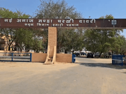 दादरी अनाज मंडी।