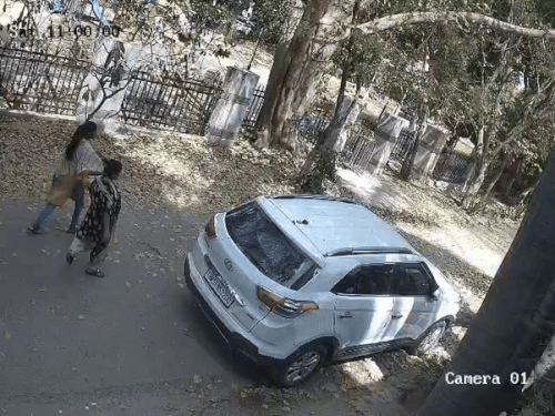 ਗੁਰੂਗ੍ਰਾਮ ਵਿਚ ਇਹ ਦੋਵੇਂ ਮੁਟਿਆਰਾਂ ਪਾਮ ਵਿਹੜੇ ਵਿਚ ਲੰਬੇ ਸਮੇਂ ਤੋਂ ਘੁੰਮ ਰਹੀਆਂ ਹਨ.