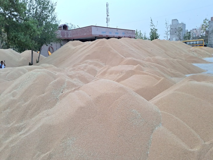 ਬਧਰਾ ਬੱਸ ਸਟੈਂਡ ਤੇ ਕਣਕ ਦੇ iles ੇਰ, ਫਾਈਲ ਫੋਟੋ.